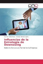 Influencias de la Estrategia de Downsizing