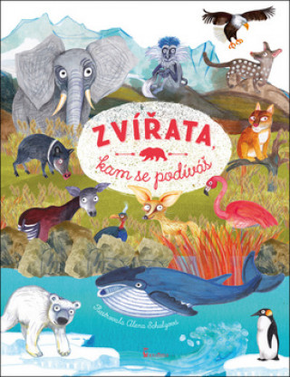 Zvďż˝ďż˝ata, kam se podďż˝vďż˝