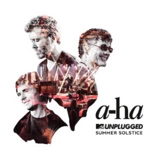 MTV Unplugged - Summer Solstice, 2 Audio-CDs