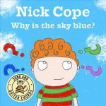 Why Is The Sky Blue?