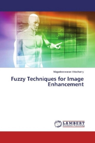 Fuzzy Techniques for Image Enhancement