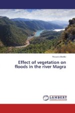 Effect of vegetation on floods in the river Magra