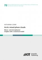 Arctic mixed-phase clouds : Macro- and microphysical insights with a numerical model