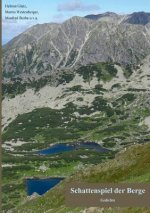 Schattenspiel der Berge