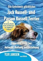 Das Geheimnis glücklicher Jack Russell- und Parson Russell Terrier