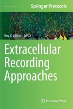 Extracellular Recording Approaches