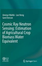 Cosmic Ray Neutron Sensing:  Estimation of Agricultural Crop Biomass Water Equivalent