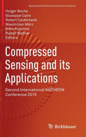 Compressed Sensing and its Applications