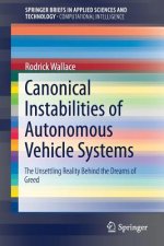 Canonical Instabilities of Autonomous Vehicle Systems