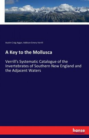 Key to the Mollusca