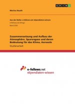 Zusammensetzung und Aufbau der Atmosphäre. Spurengase und deren Bedeutung für das Klima, Aerosole