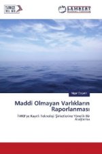 Maddi Olmayan Varliklarin Raporlanmasi