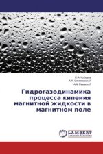 Gidrogazodinamika processa kipeniya magnitnoj zhidkosti v magnitnom pole