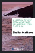 History of New Testament Times in Palestine, 175 B. C.-70 A. D.