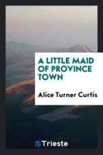 Little Maid of Province Town