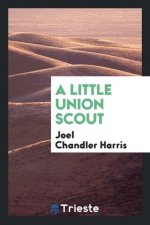 Little Union Scout