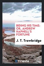 Biding His Time, Or, Andrew Hapnell's Fortune