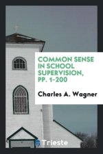 Common Sense in School Supervision, Pp. 1-200