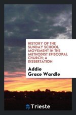 History of the Sunday School Movement in the Methodist Episcopal Church; A Dissertation