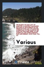 Pilgrim of Our Lady of Martyrs. a Monthly Magazine. Devoted to the Interests of the Shrine of Our Lady of Martyrs, Auriesville, to the Cause of the Ma