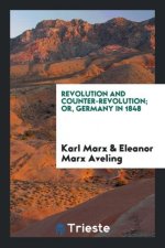 Revolution and Counter-Revolution; Or, Germany in 1848