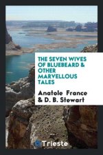 Seven Wives of Bluebeard & Other Marvellous Tales