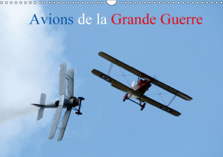 Avions de la Grande Guerre 2018