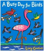 Busy Day for Birds