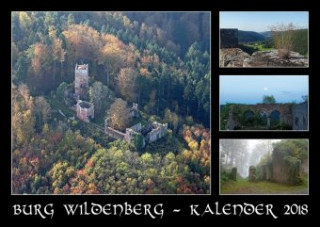 Burg Wildenberg