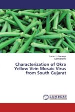 Characterization of Okra Yellow Vein Mosaic Virus from South Gujarat