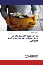 A Modest Proposal to Reform the American Tax System