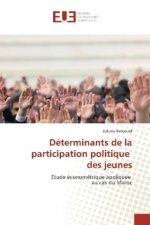Déterminants de la participation politique des jeunes