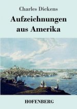Aufzeichnungen aus Amerika