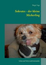 Sokrates - der kleine Mickerling
