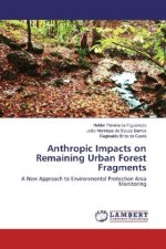 Anthropic Impacts on Remaining Urban Forest Fragments