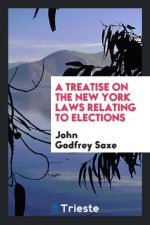 Treatise on the New York Laws Relating to Elections