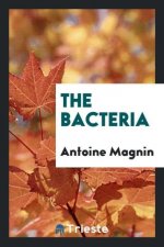 Bacteria