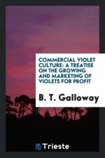 Commercial Violet Culture