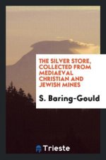 Silver Store