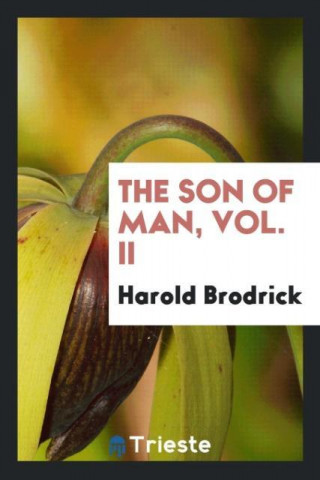 Son of Man; Vol. II