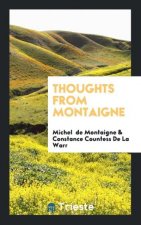 Thoughts from Montaigne