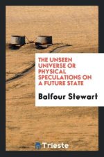 Unseen Universe or Physical Speculations on a Future State