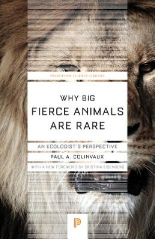 Why Big Fierce Animals Are Rare