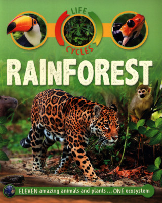 Life Cycles: Rainforest