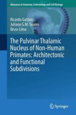 Pulvinar Thalamic Nucleus of Non-Human Primates: Architectonic and Functional Subdivisions