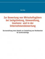Zur Bewertung von Wirtschaftsgutern bei Sachgrundung, Umwandlung, Insolvenz und in der Unternehmensbewertung