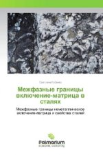 Mezhfaznye granicy vkljuchenie-matrica v stalyah