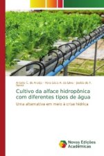 Cultivo da alface hidroponica com diferentes tipos de agua