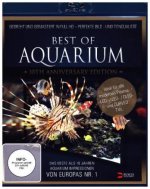 Best of Aquarium