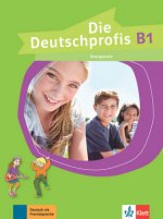 Die Deutschprofis